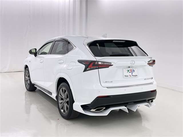 Lexus NX 6