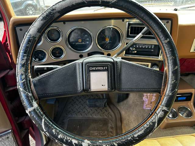 Chevrolet C10 12