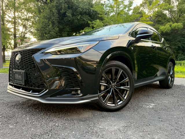 Lexus NX 10