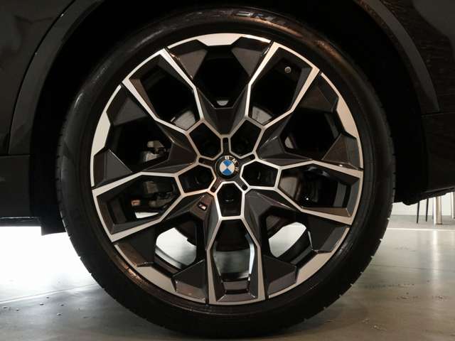 BMW X7 10