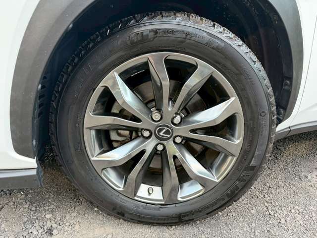 Lexus NX 11