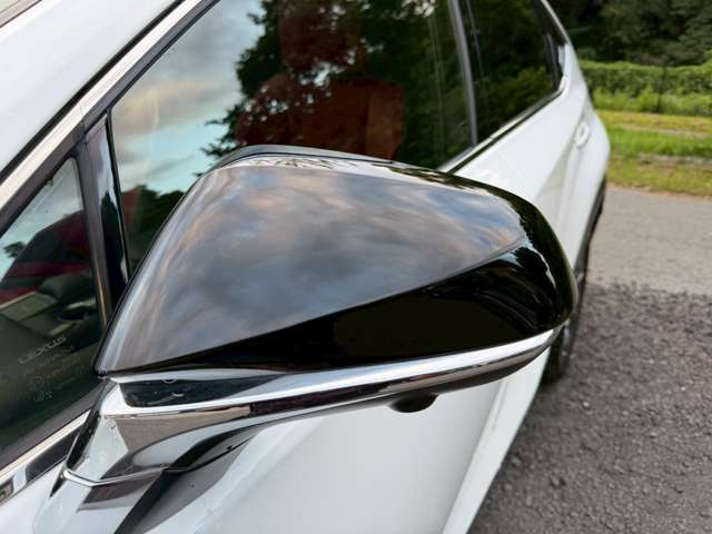 Lexus NX 12