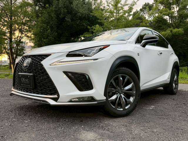 Lexus NX 10