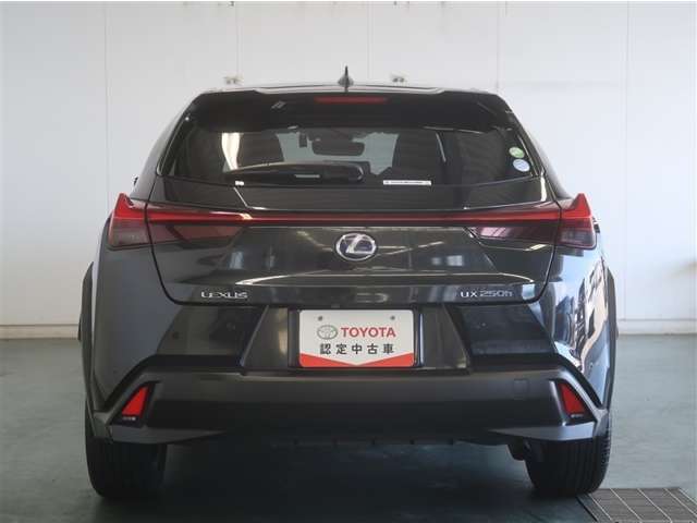Lexus UX 6