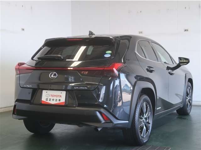 Lexus UX 7