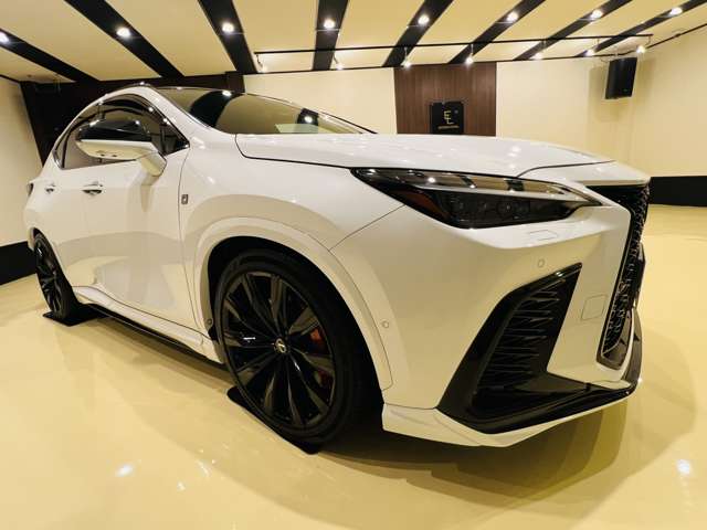 Lexus NX 11