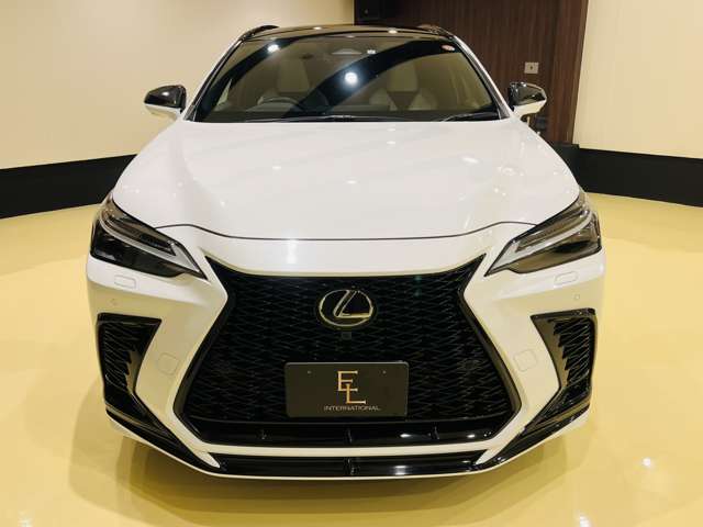 Lexus NX 12