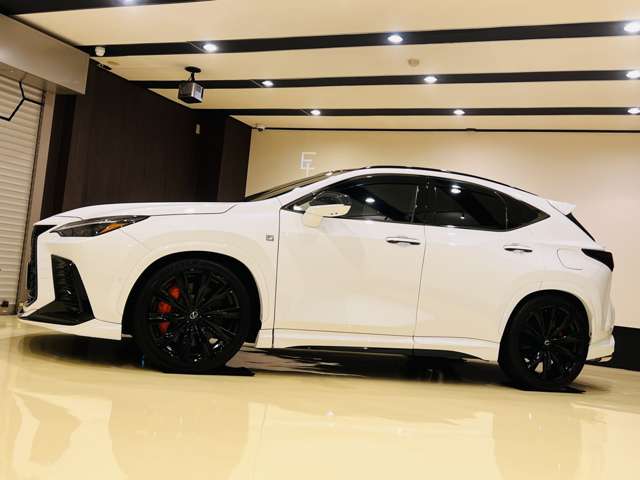 Lexus NX 5