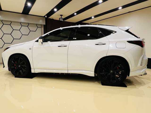 Lexus NX 6
