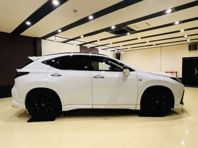 Lexus NX 10
