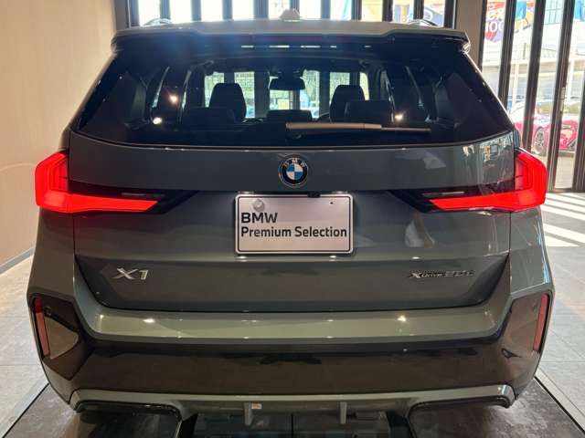 BMW X1 10