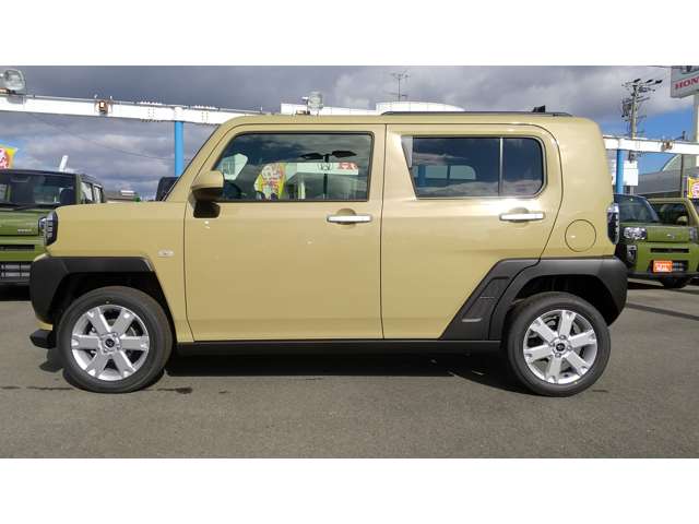 Daihatsu Taft 8