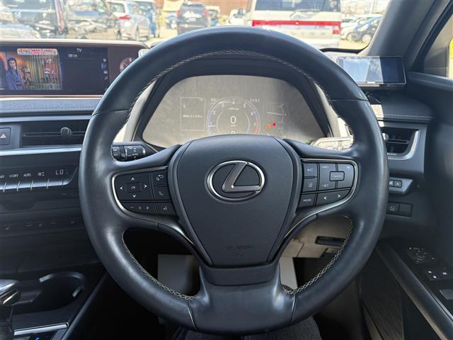 Lexus UX 11