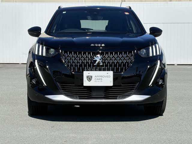 Peugeot SUV 2008 5