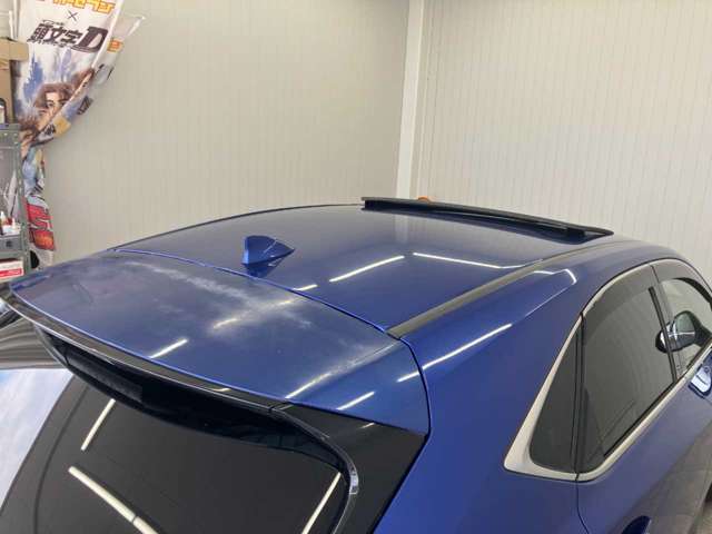 Lexus NX 5