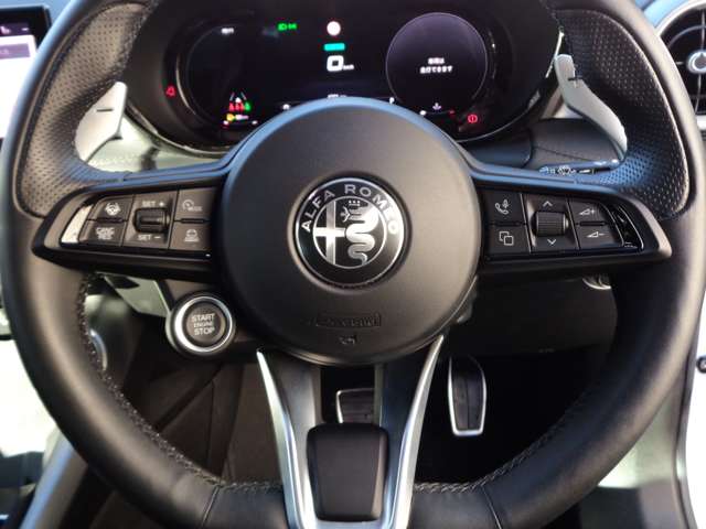 Alfa Romeo トナーレ 7