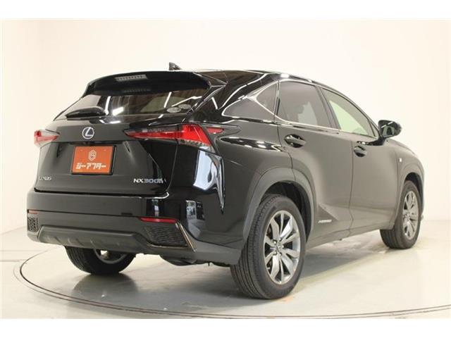 Lexus NX 11