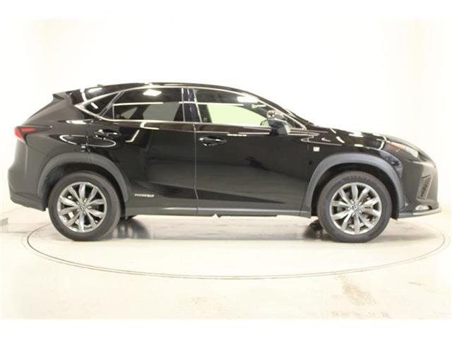 Lexus NX 12