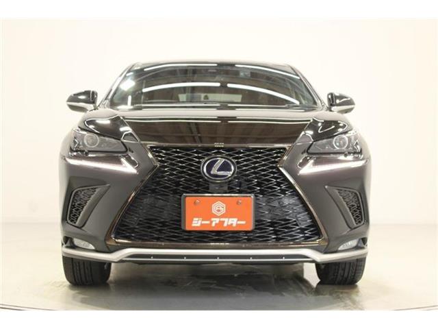 Lexus NX 6