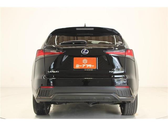 Lexus NX 10