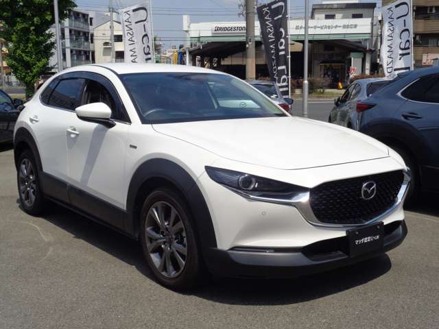 Mazda CX-30 11