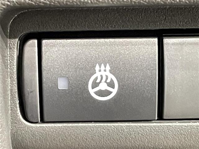 Mitsubishi Delica Mini 7