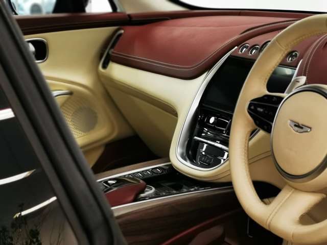 Aston Martin DBX 10