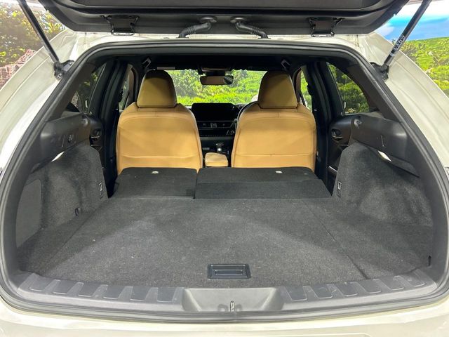 Lexus UX 11