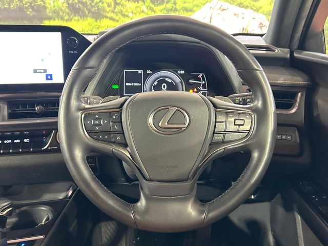 Lexus UX 12
