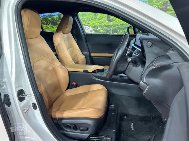 Lexus UX 9
