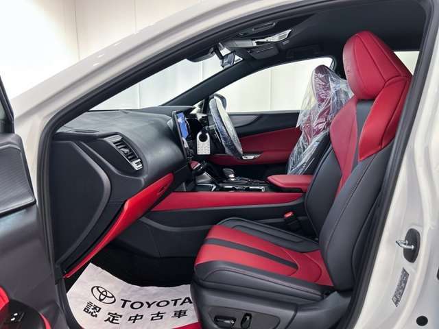 Lexus NX 12