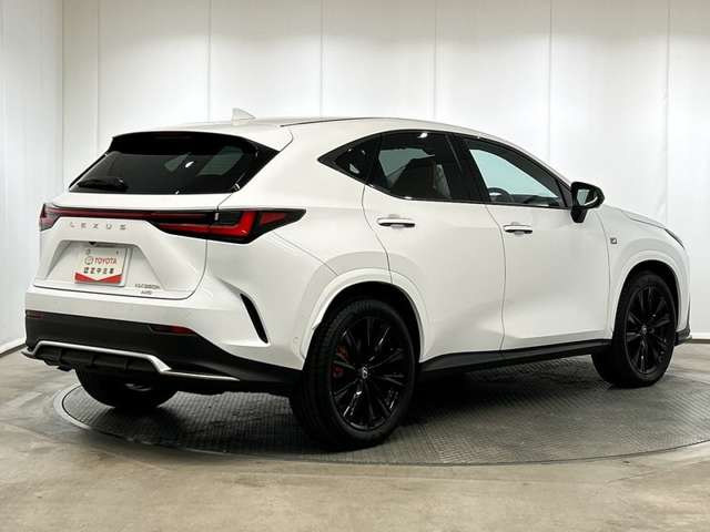 Lexus NX 6