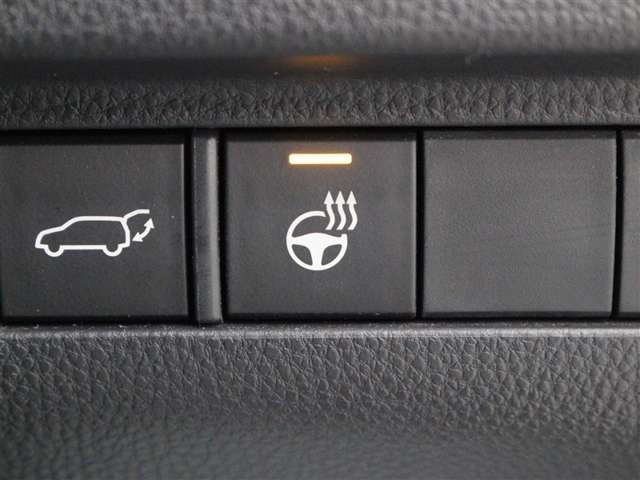 Toyota Harrier 7