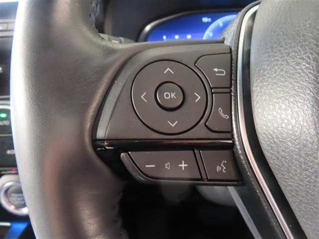 Toyota Harrier 10