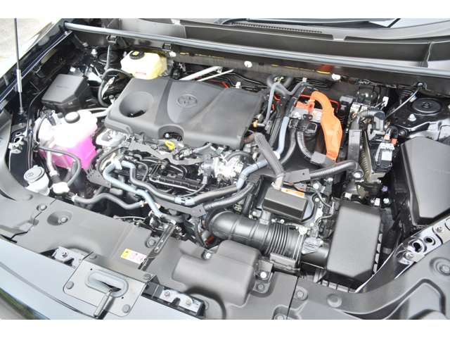 Mitsuoka バディ 12