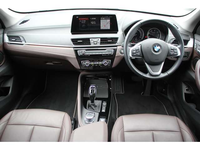 BMW X1 2