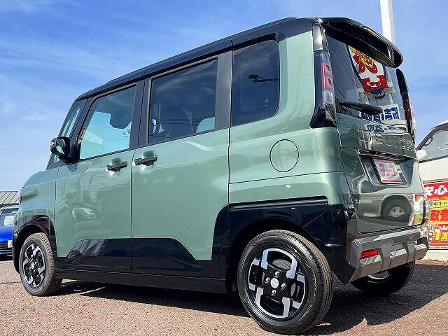 Mitsubishi Delica Mini 6