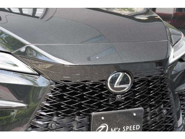 Lexus RX 12