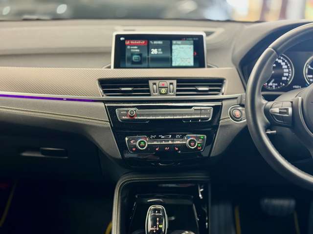 BMW X2 10