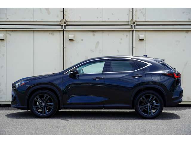 Lexus NX 4