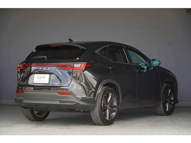 Lexus NX 6