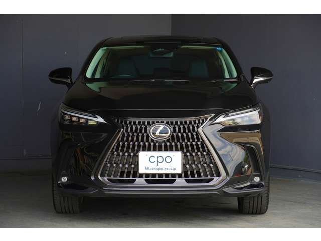 Lexus NX 7