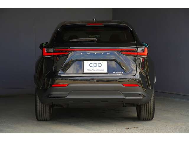 Lexus NX 8