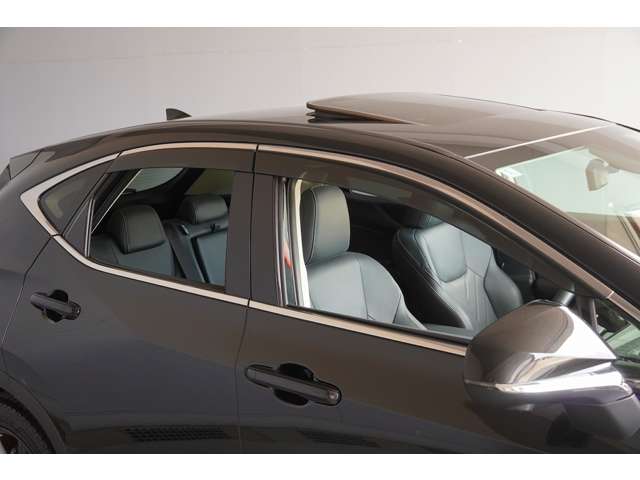 Lexus NX 9
