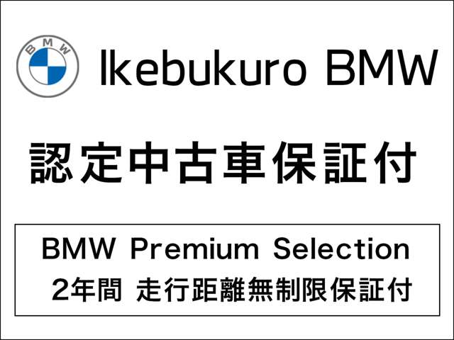 BMW iX 6