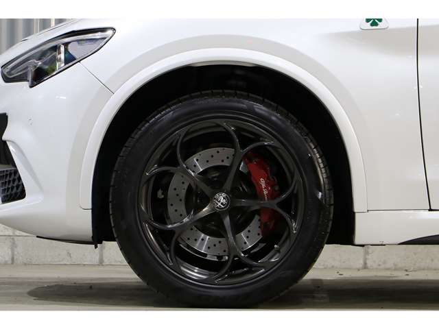 Alfa Romeo Stelvio 10