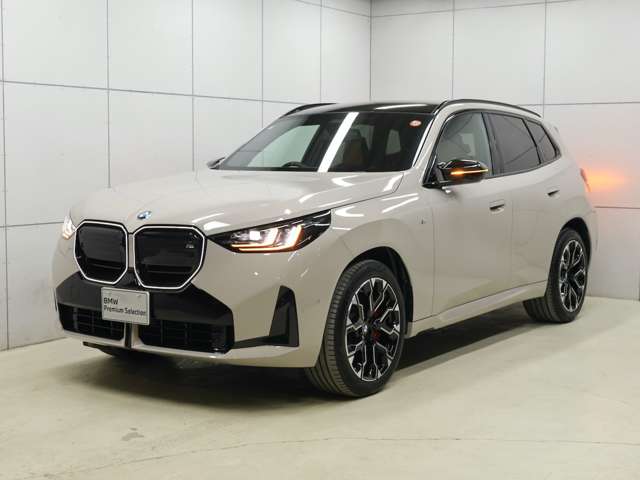 BMW X3 6