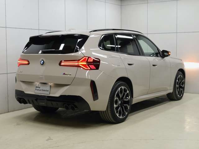 BMW X3 9