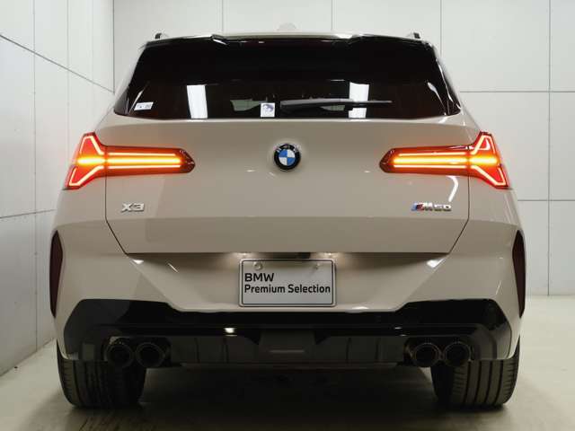 BMW X3 10
