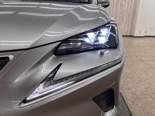 Lexus NX 11